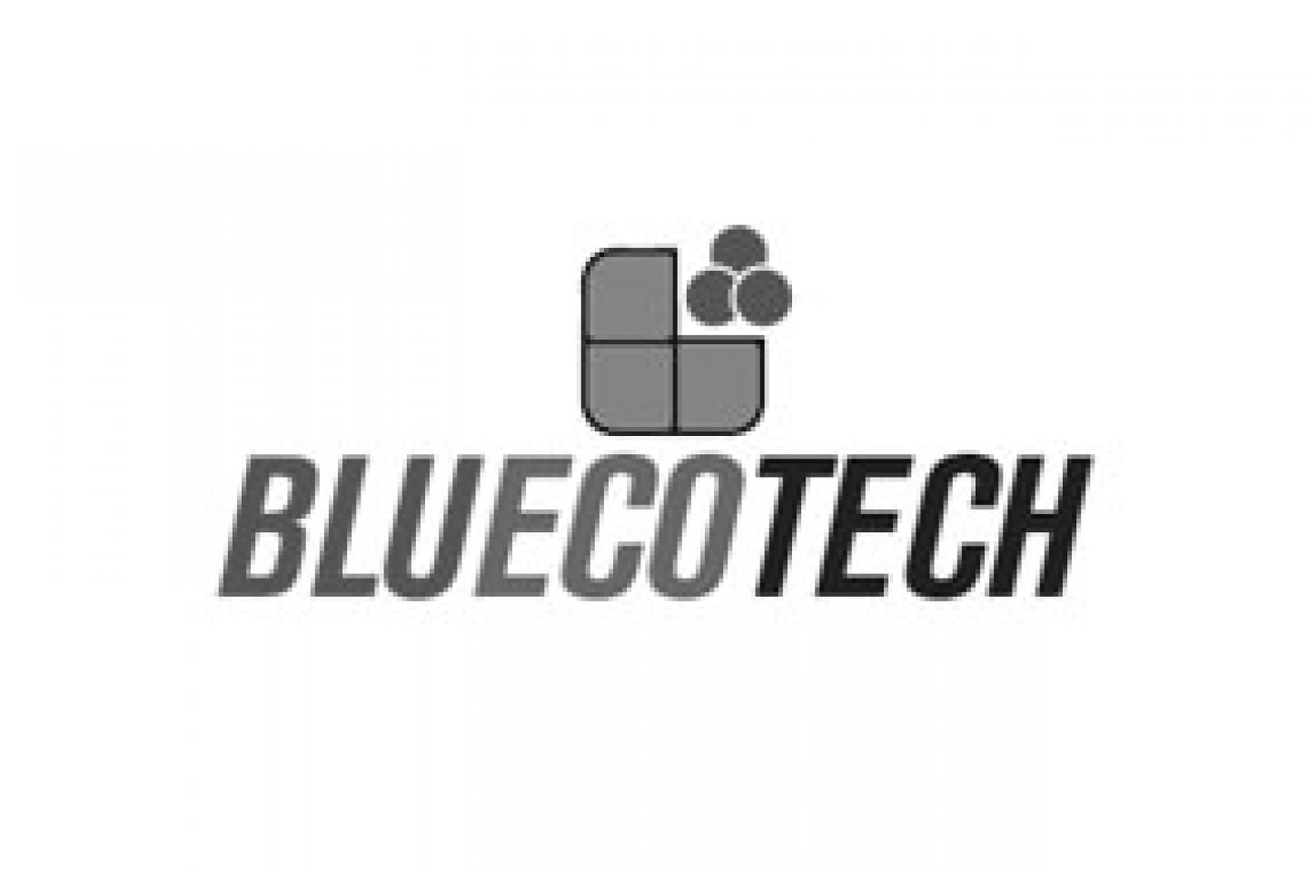 OZOTO web agency a Brescia per Bluecotech